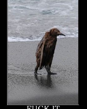 sad penguin