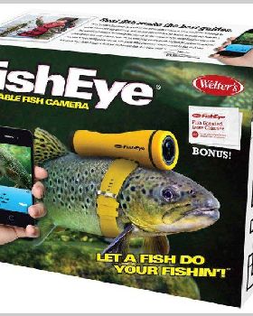 fish eye