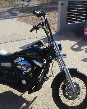 Harley4