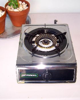 100 4441