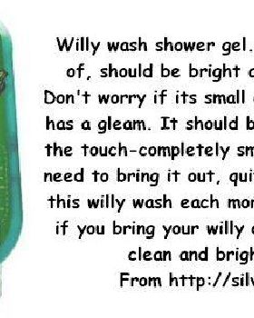 willy wash