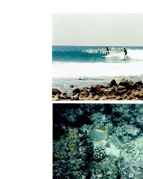 Maldives 1-1