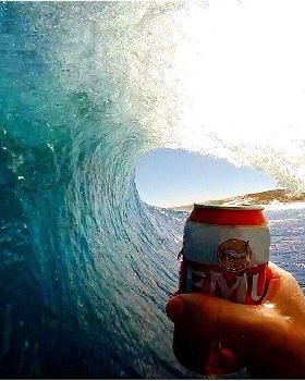 Surfin Beer