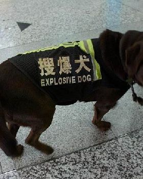 fsB8EtM