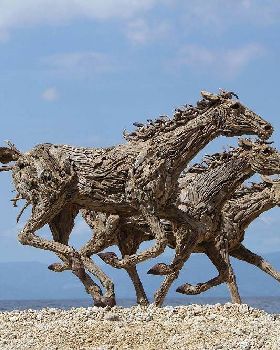 Made from drift wood
