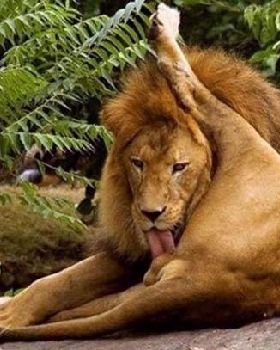 funny-photos-2342