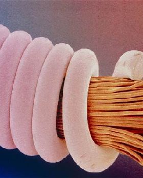 guitar-string 1802611i
