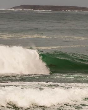 Surfing