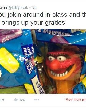 10170939 1015220569209 7186289099408439537 n