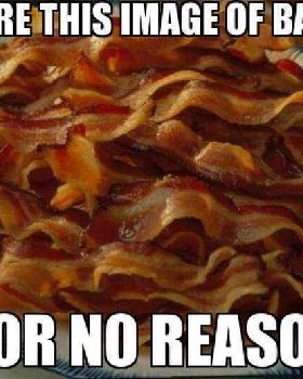 bacon