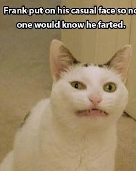 farted