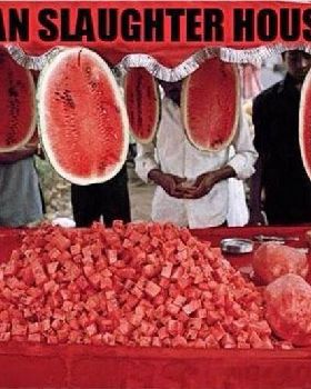 Vegan-Slaughter-House