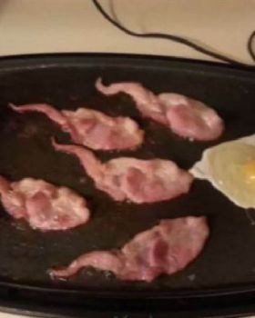 bacon sperm