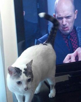 cat butt