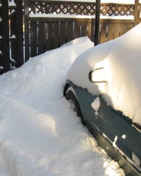 Snow Day