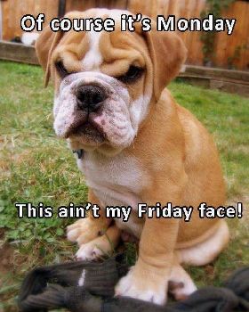 imagesof-course-its-monday