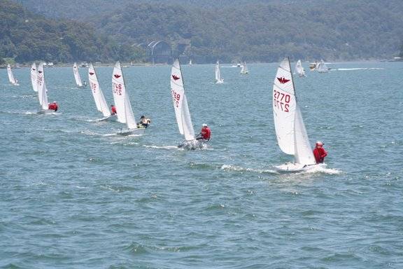 This is me sailing in the manly junoir states at hornsby