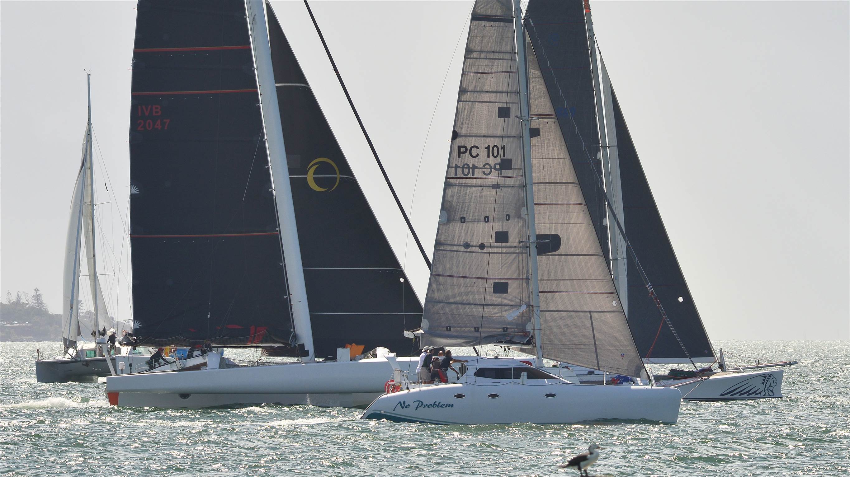 2019 Brisbane to Gladstone Multihull Yacht Race