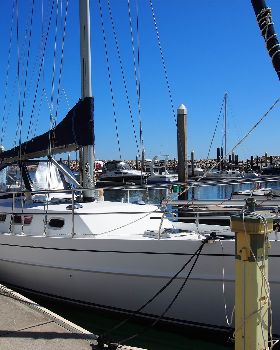 P9190151