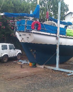 colombo stern