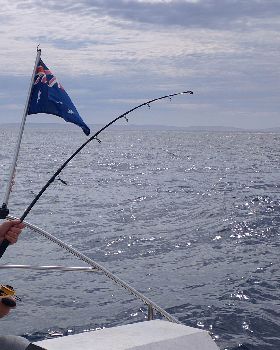 Reeling in a tuna