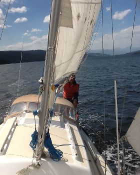 image1 (1)
