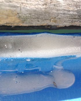 Epoxy applied