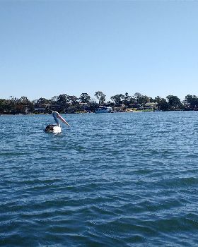 Sailing