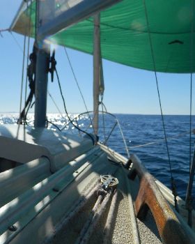 Rotto here we come