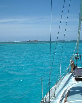 elisabeth reef