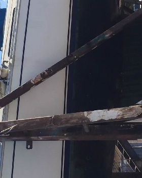 pintado