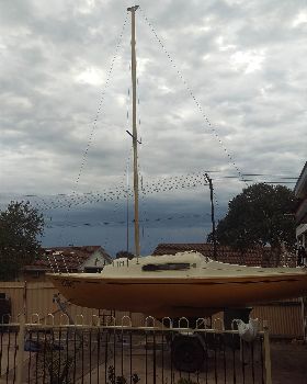 IMAG0674