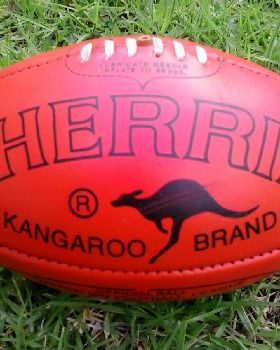 Sherrin footy-e1450221983385