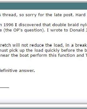 Cruiser forum on dyneema vs nylon