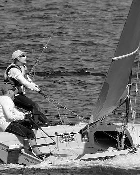Javelins on Swan