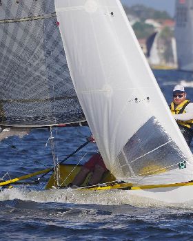 Javelins on Swan