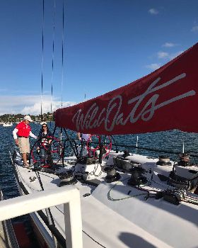 Wild Oats