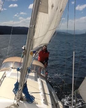 image1 (1)