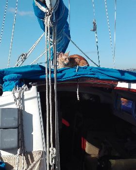 Sailing