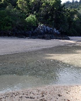 WhitsundayIslandCidHarbour