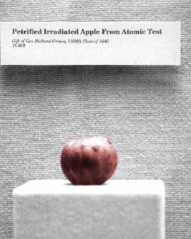 Petrified-apple