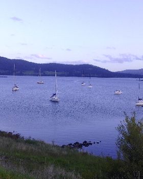 Pic 1030 394