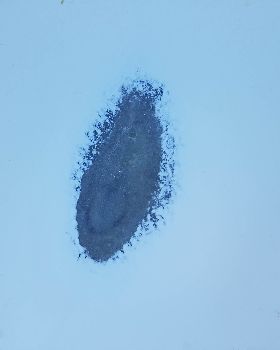 tmp 21332-20171111 0752181119036092
