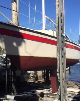 Mystere 25 'Lady in Red'