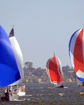 Big Spinnakers