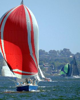 Big Spinnakers