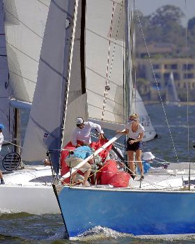 Big Spinnakers