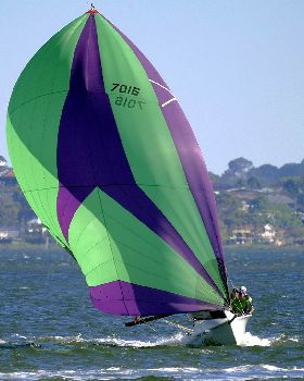 Big Spinnakers
