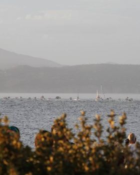 Sailing
