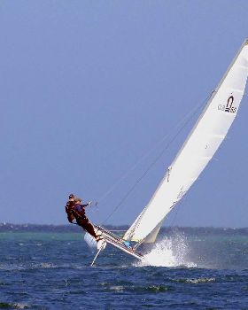 Two Up - Nacra
